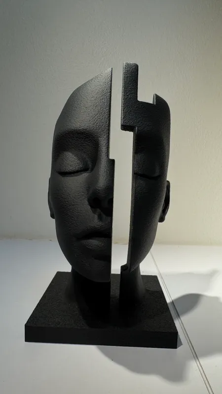 FIGURA CARA DIVIDIDA